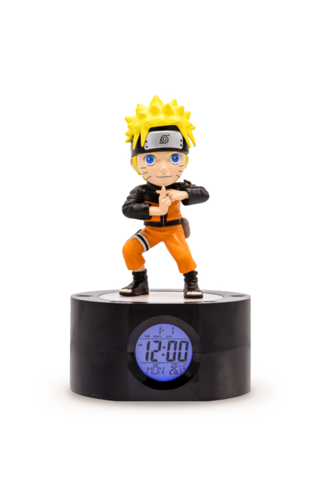 Licence Naruto Shippuden 5