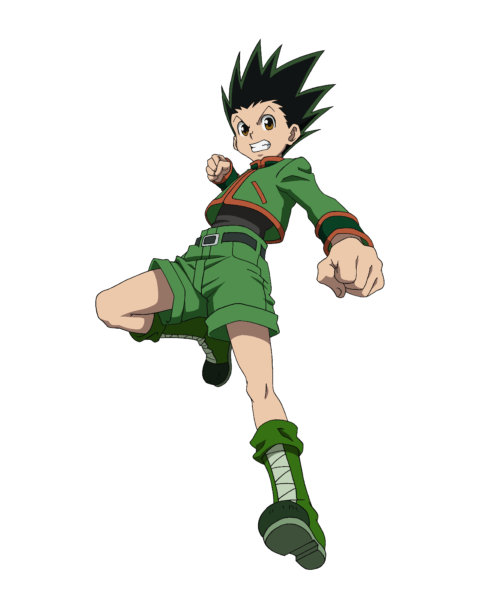 LICENCE HUNTER x HUNTER 1 LICENCE HUNTER x HUNTER 2