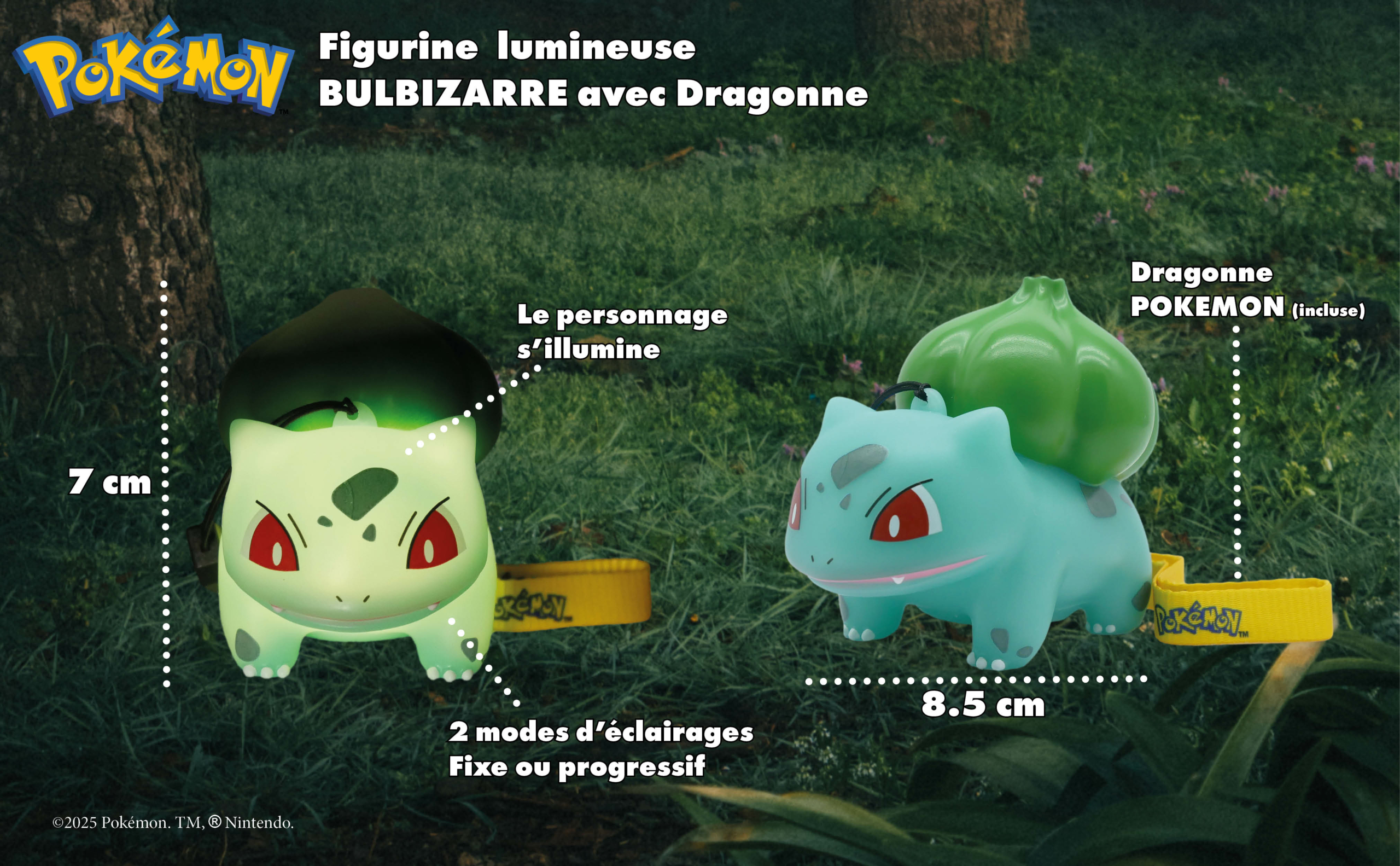 Figurine Lumineuse Pokémon BULBIZARRE Dragonne 45