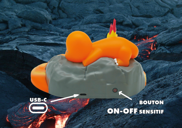 POKÉMON scène lumineuse SALAMECHE 25