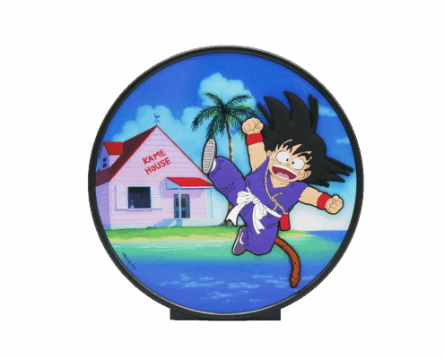 DRAGON BALL – DÉCORATION LUMINEUSE GOKU KAME HOUSE 6