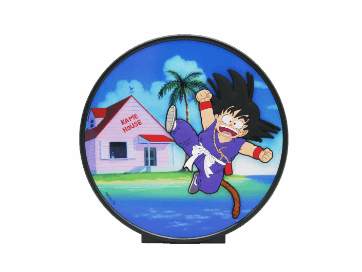 Dragon Ball Licence 8