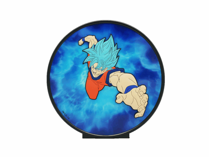 Dragon Ball Licence 10